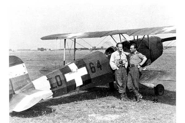 Декаль для Bücker Bü 131D стран Оси II МВ (ICM D3201) 1/32