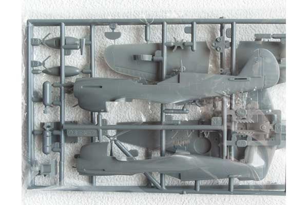 P-40N WARHAWK (Hasegawa 00139 A9) 1/72