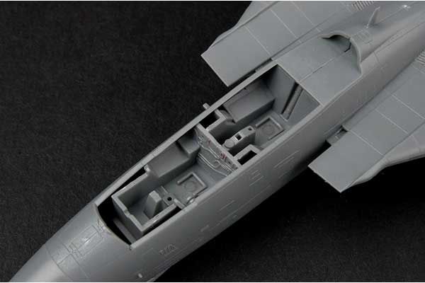 F-14A Tomcat (Hobby Boss 80276) 1/72