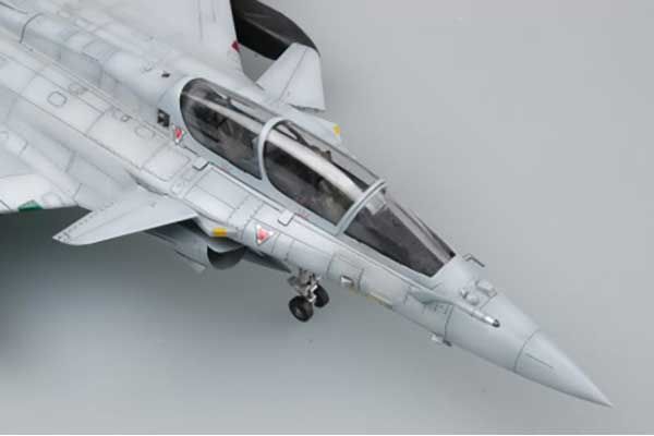 Rafale B (Hobby Boss 80317) 1/48
