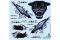 Tornado IDS Black Panthers (ITALERI 2668) 1/48
