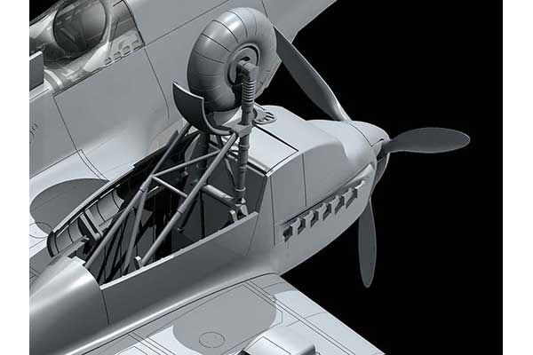 Do 215 B-5 (ICM 48242) 1/48