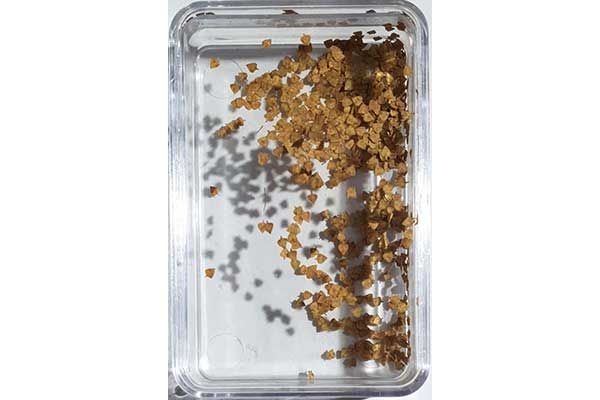 Березовые осенние листья (Ammo Mig 8406) 1/48, 1/35, 1/32