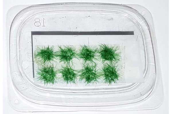 Імітація рослинності: Набір пучків трави ЛІТО №4 (Different Scales 22-635) Імітація рослинності: Набір пучків трави ЛІТО №4 (Different Scales 22-635)