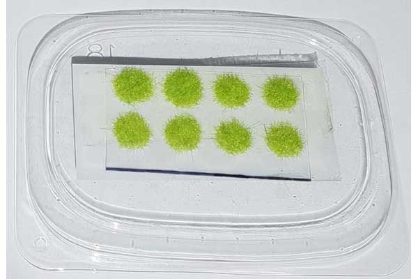 Імітація рослинності: Набір пучків трави ОСІНЬ (пожухла трава) (Different Scales 22-639) Імітація рослинності: Набір пучків трави ОСІНЬ (пожухла трава) (Different Scales 22-639)