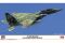 F-15DJ Eagle `Aggressor Green Scheme´ (Hasegawa 02460) 1/72