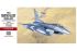 F-16CJ Fighting Falcon (HASEGAWA 07232 PT32) 1/48