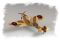 “Spitfire” MK.Vb TROP (Hobby Boss 80214) 1/72