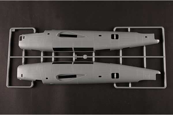 US B-24D Liberator (Hobby Boss 81775) 1/48