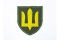 Нарукавні знаки і патчі особового складу та камуфляж військової техніки ЗСУ