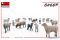 Вівці (MiniArt 38042) 1/35