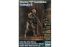Тиберій" Тай "Сузір'я Хейкінтон III (Master Box 24054) 1/24