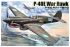 P-40E War Hawk (Trumpeter 02269) 1/32