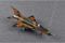 МіГ-21МФ (Trumpeter 02863) 1/48